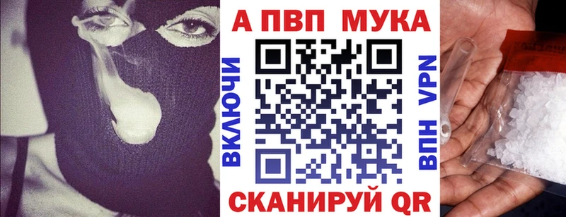 OMG как войти Асино Alpha PVP крисы CK