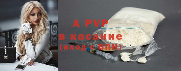 ПСИЛОЦИБИНОВЫЕ ГРИБЫ Осинники