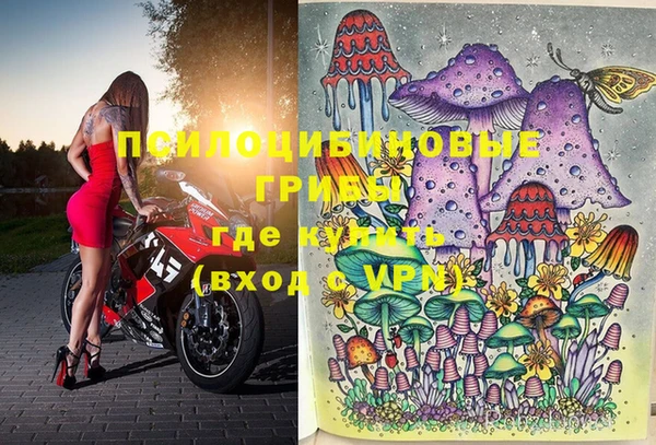ПСИЛОЦИБИНОВЫЕ ГРИБЫ Осинники