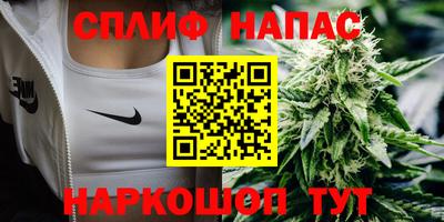 гашик Аргун