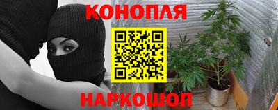 гидропоника Балахна