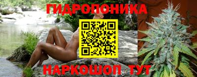 гашик Аргун