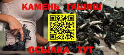 шишки Аргун