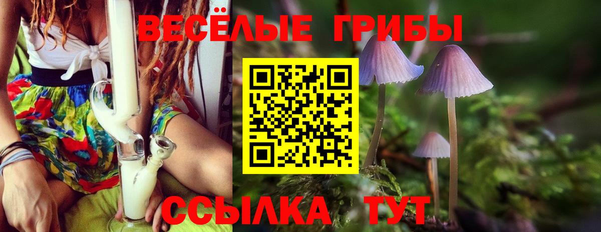 Псилоцибиновые грибы ЛСД Асино