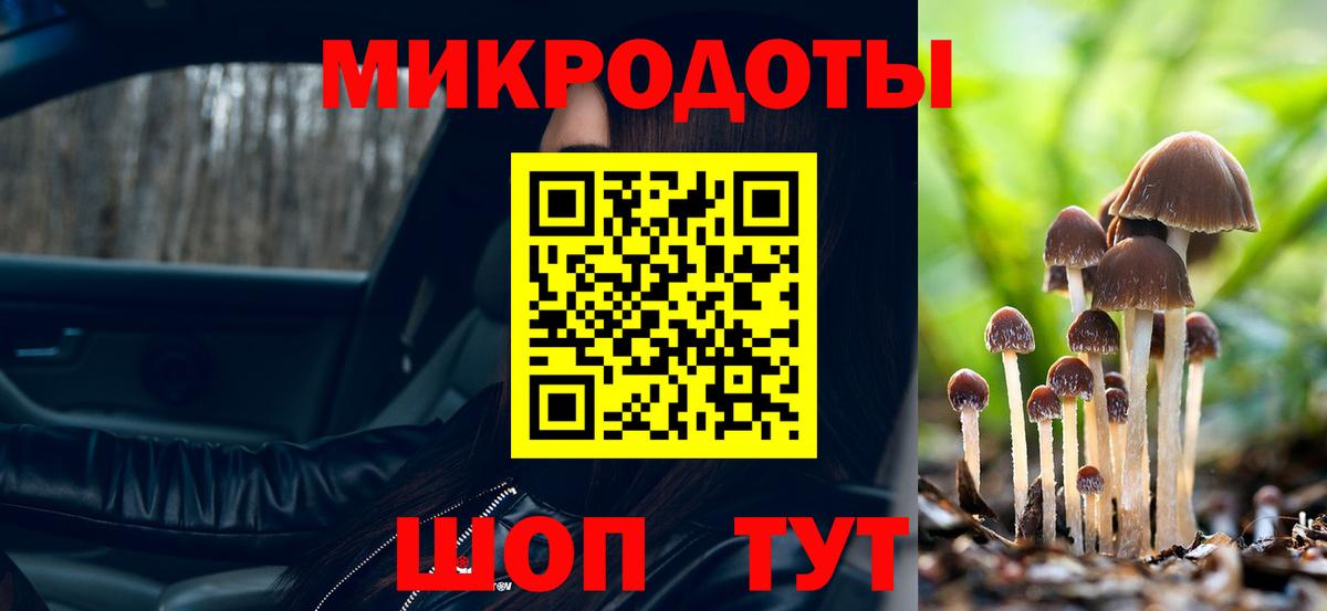 Галлюциногенные грибы мицелий  Асино  Псилоцибиновые грибы ЛСД 
