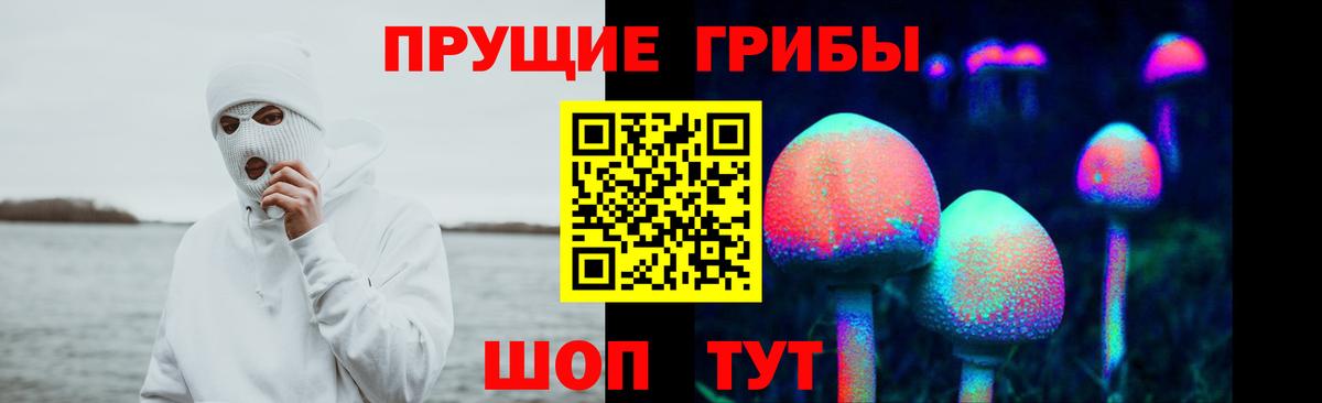 Галлюциногенные грибы Cubensis Асино