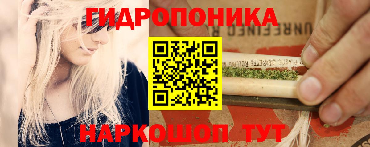 Каннабис AK-47 Асино